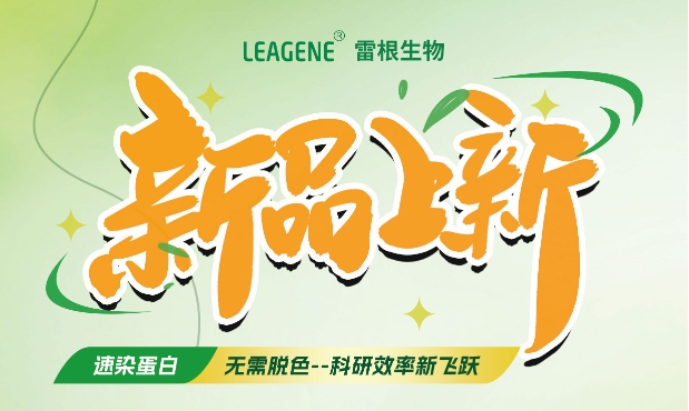 最新力作【考馬斯亮藍(lán)快速染色液（免脫色版）】，正式加入我們的產(chǎn)品家族！